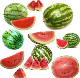 南工程怎么吃瓜,揭秘校园热点背后的故事